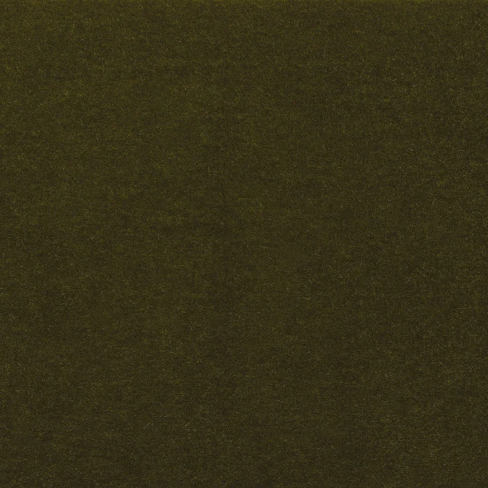 Vert olive Vert olive