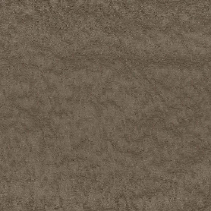 Tourterelle Tourterelle