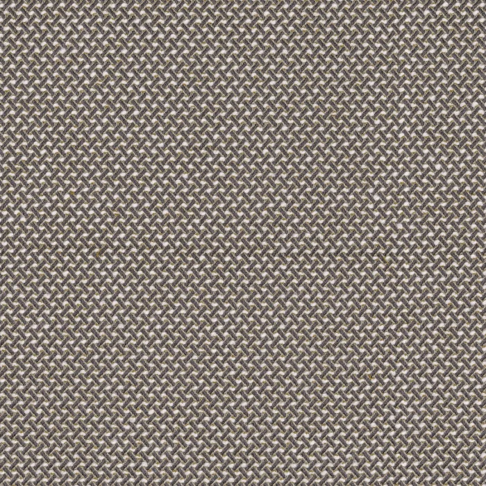 Gris de maure Gris de maure