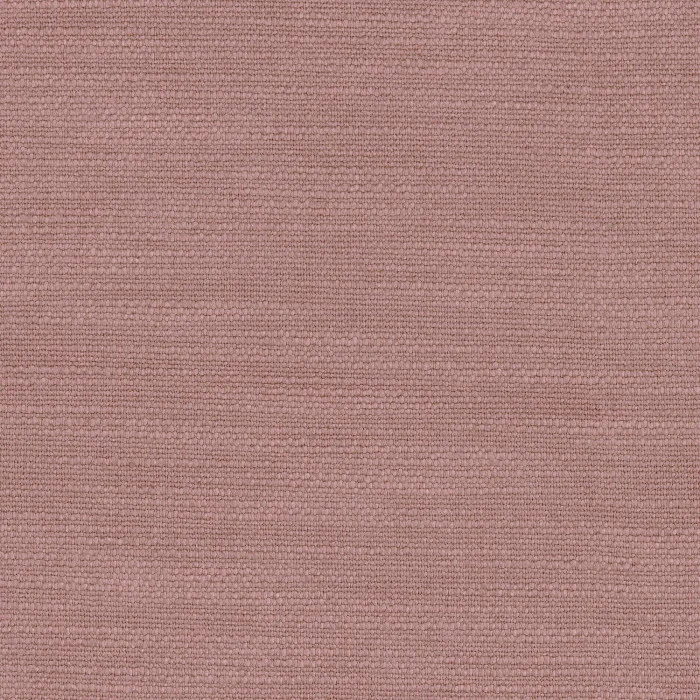 Rose antique Rose antique