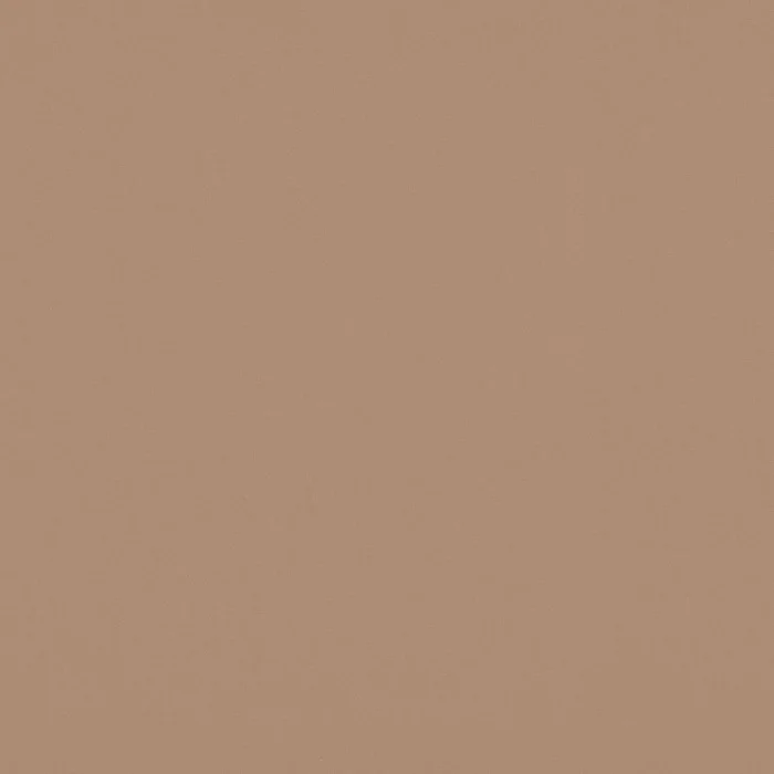 Tourterelle Tourterelle