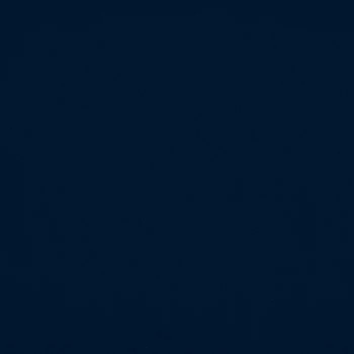 Bleu marine Bleu marine