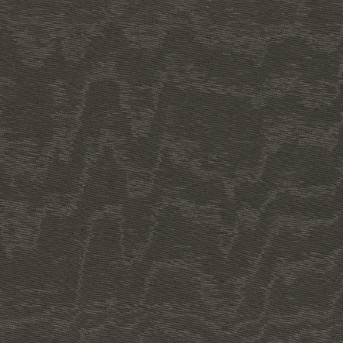 Gris de maure Gris de maure