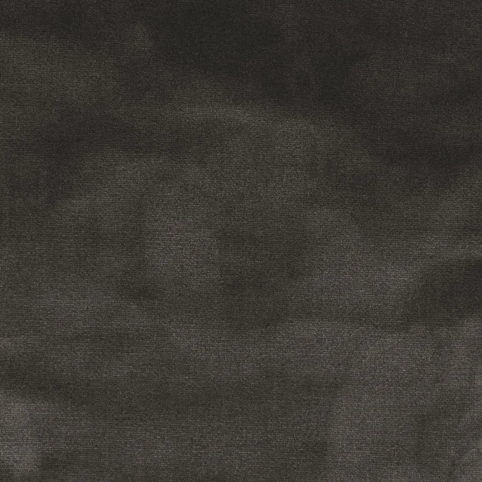 Gris de maure Gris de maure