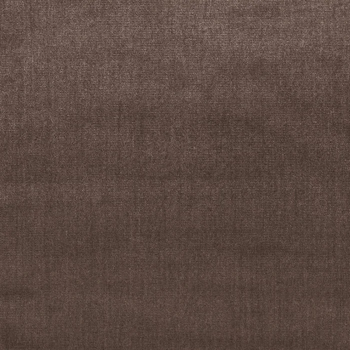 Taupe Taupe