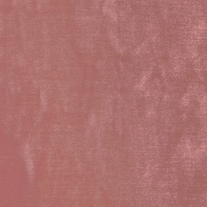 Rose antique Rose antique