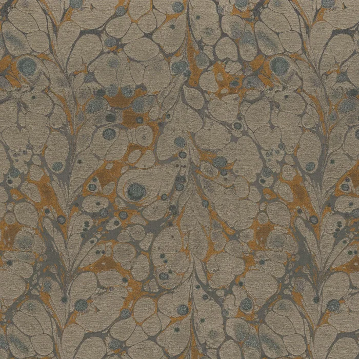 Gris de maure Gris de maure