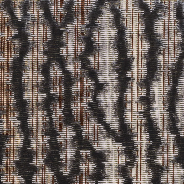 Gris de maure Gris de maure