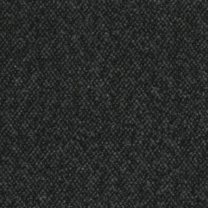 Gris de maure Gris de maure