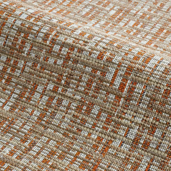 Salamandre Salamandre