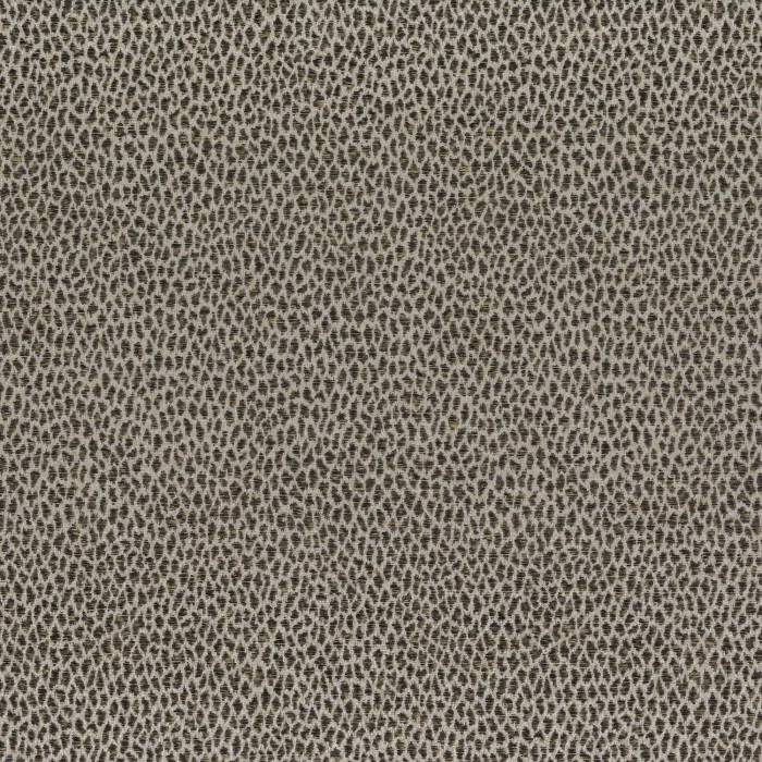 Graphite Graphite