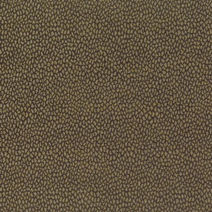 Gris de maure Gris de maure