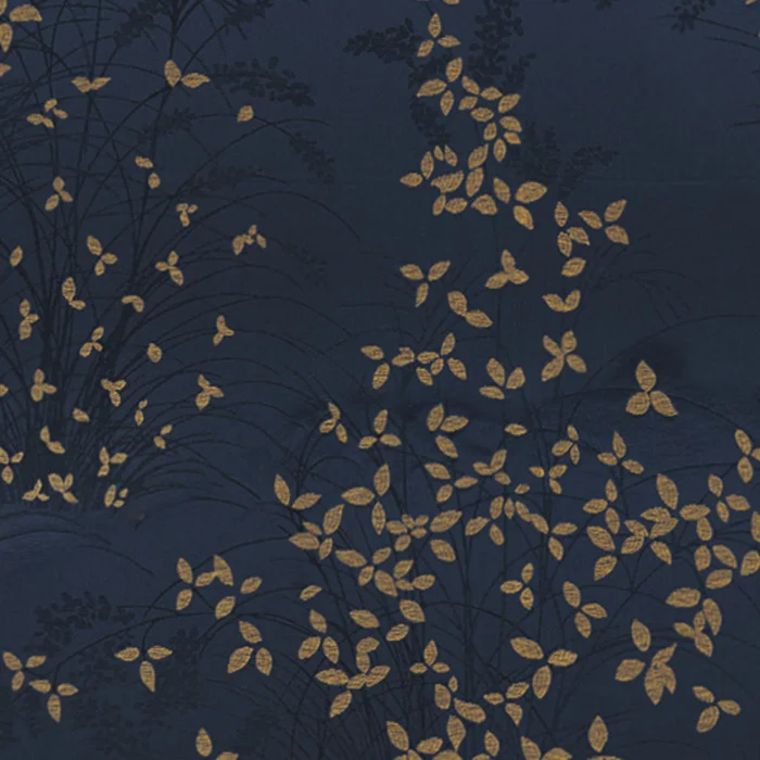 Bleu misia Bleu misia