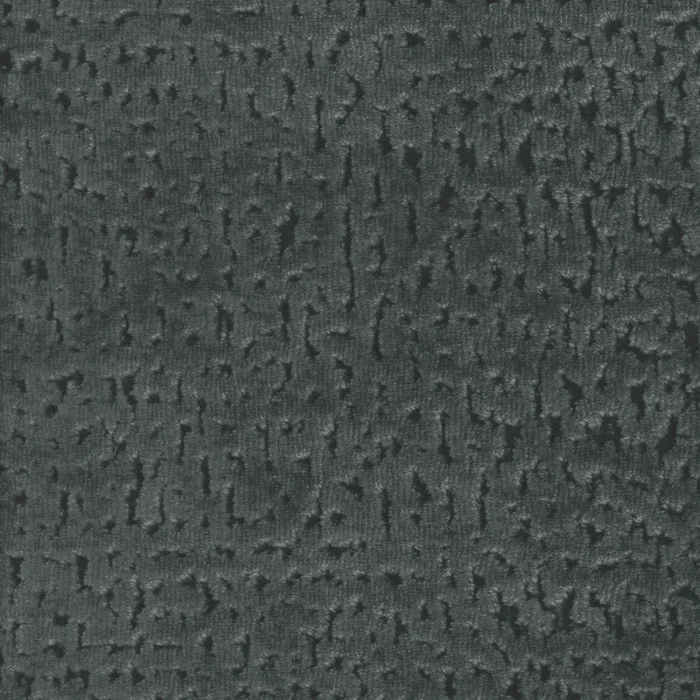 Gris de maure Gris de maure