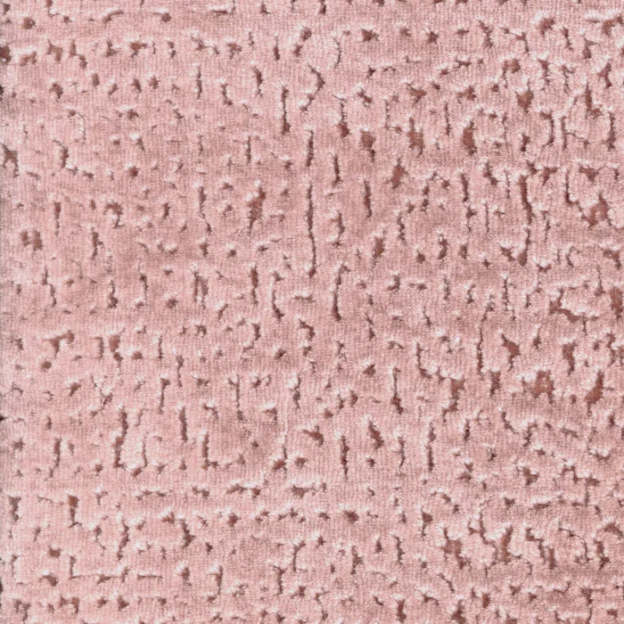 Rose antique Rose antique