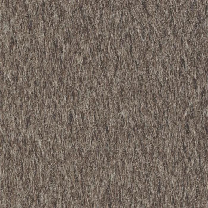 Taupe Taupe
