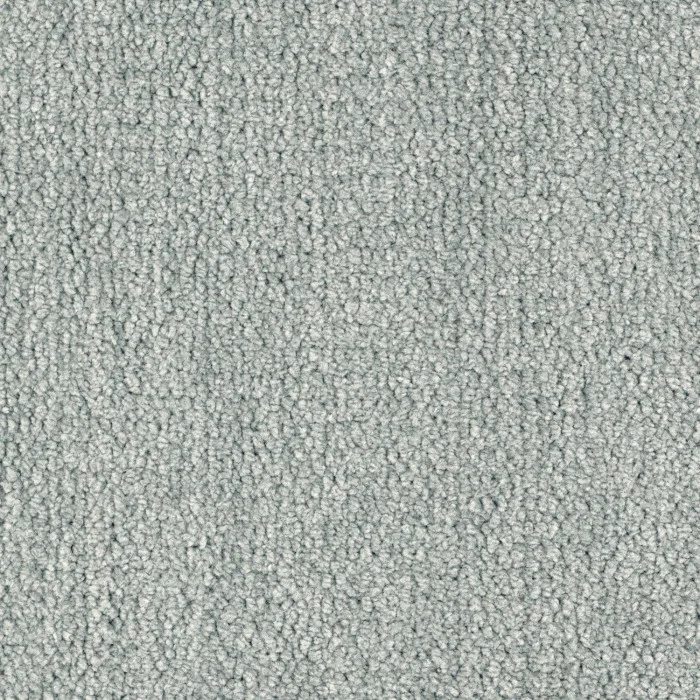 Tourterelle Tourterelle