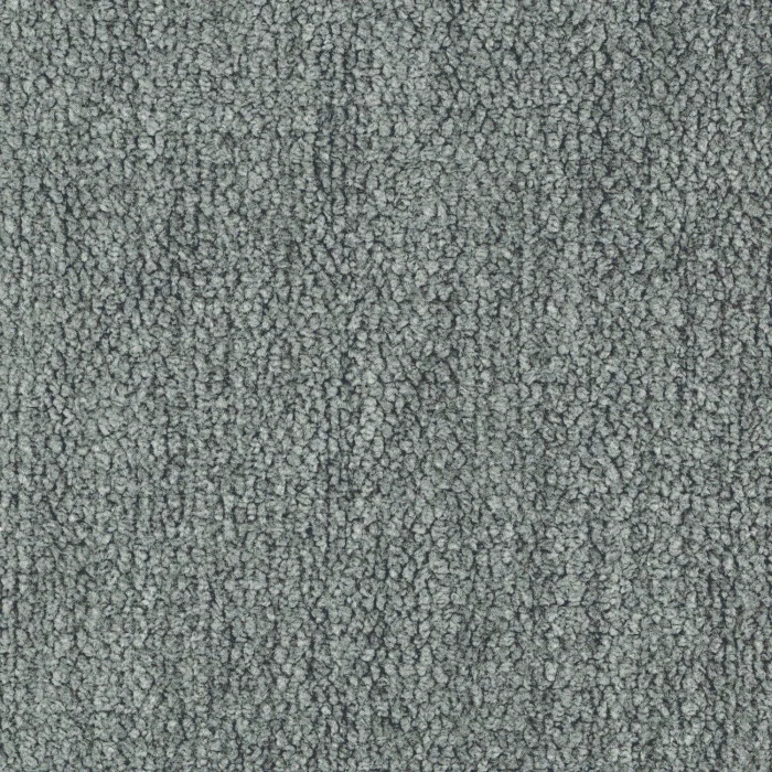 Gris de maure Gris de maure