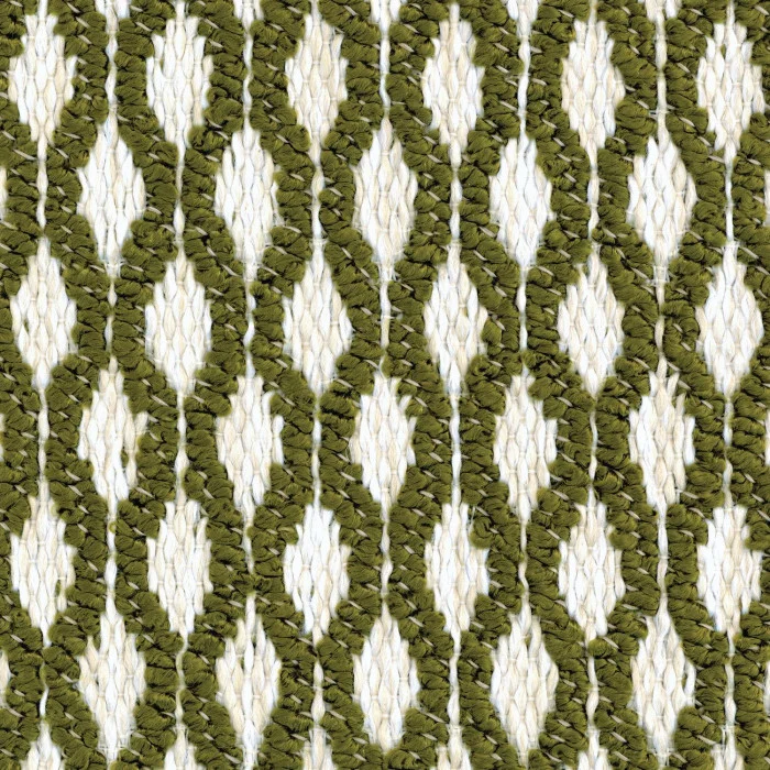 Vert olive Vert olive